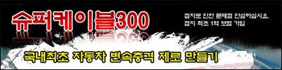 300se �������̺�300, ��������