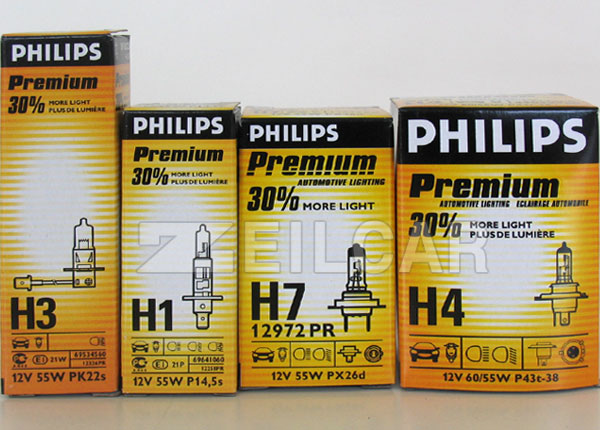 �ʸ��� �ڵ�������